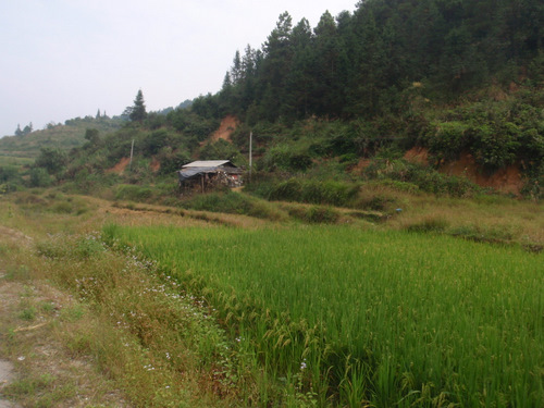 Brick and wood structures in the mountain areas.